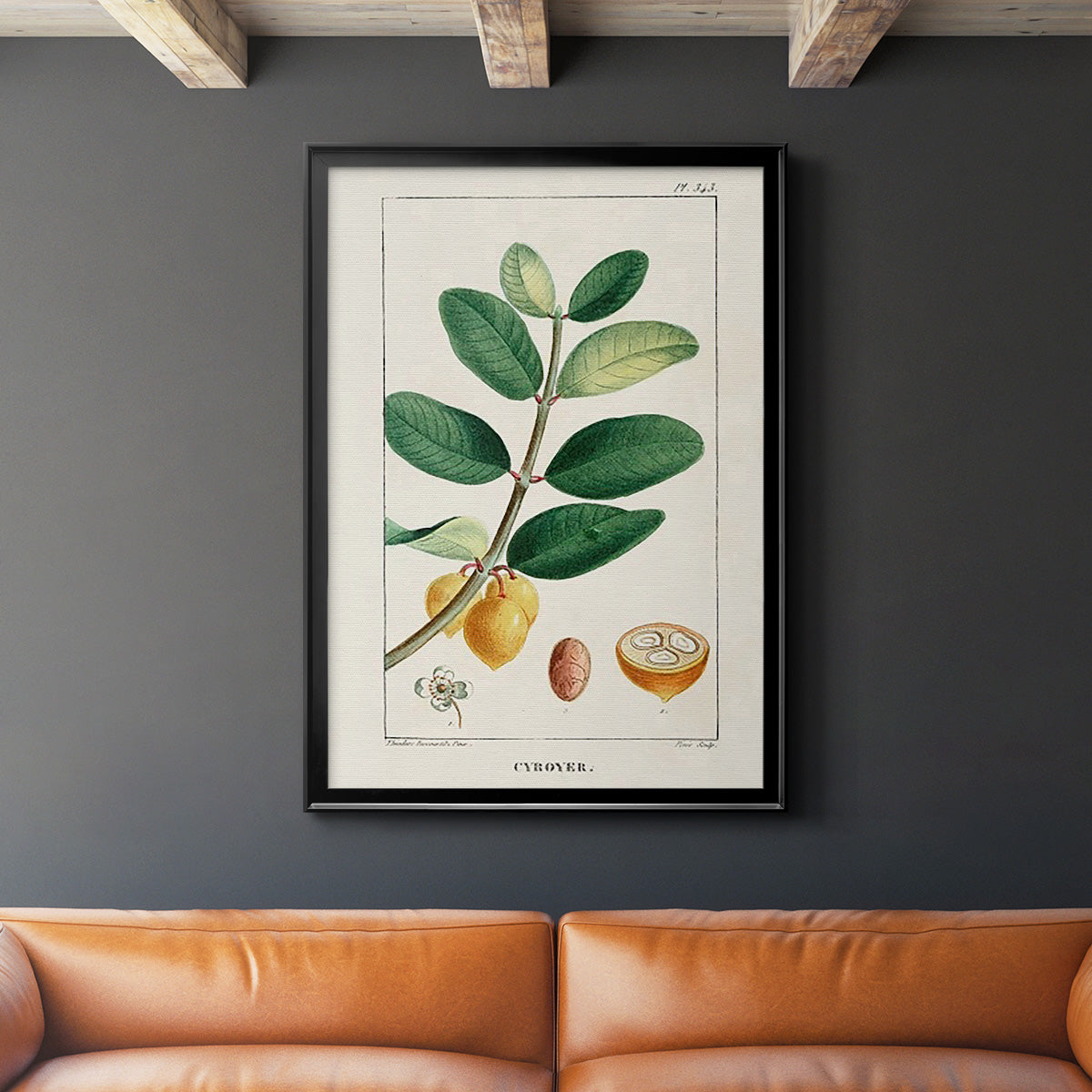 Turpin Tropical Botanicals V - Modern Framed Canvas Print