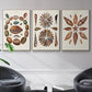 Spiral Shell Formation I - Framed Premium Gallery Wrapped Canvas L Frame 3 Piece Set - Ready to Hang