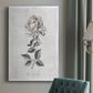 Vintage Botanical II Premium Gallery Wrapped Canvas - Ready to Hang