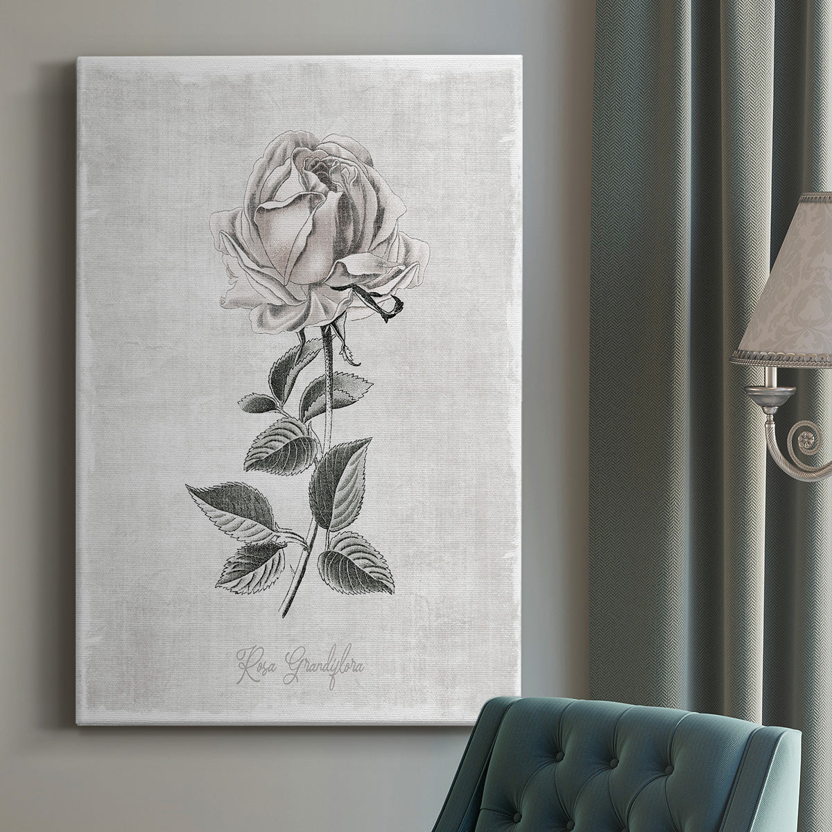 Vintage Botanical II Premium Gallery Wrapped Canvas - Ready to Hang