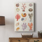 Coral & Shell Collage I - Canvas Art Print