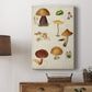 Mushroom Species II - Canvas Art Print
