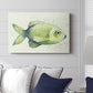 Speckled Freshwater Fish II - Canvas Art Print