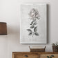 Vintage Botanical II - Canvas Art Print