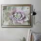 Succulent Glow II - Ornate Framed Canvas Print