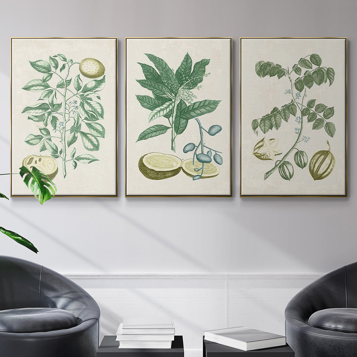 Buchoz Tropicals II - Floater Framed Canvas Set