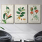 Turpin Tropical Botanicals IV - Framed Premium Gallery Wrapped Canvas L Frame 3 Piece Set - Ready to Hang