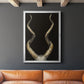Spiral Antelope Horns -  Framed Canvas Print