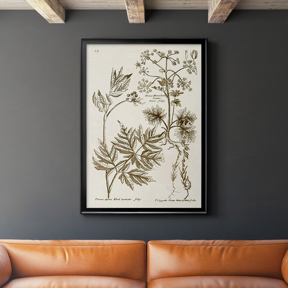 Sepia Botanical Journal III - Modern Framed Canvas Print