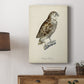 French Owls I - Canvas Art Print