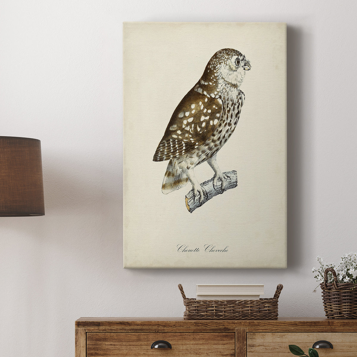 French Owls I - Canvas Art Print