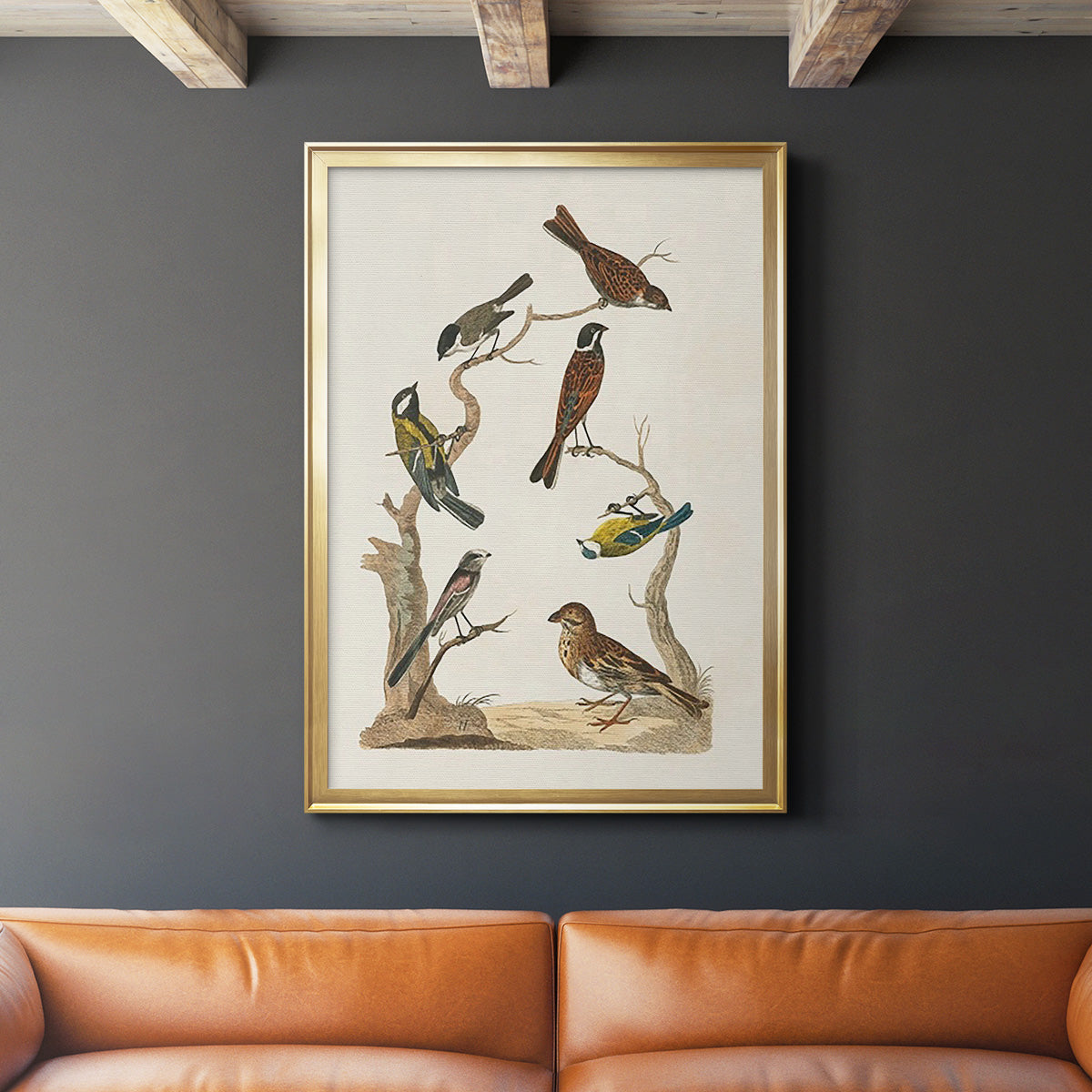 Antique Birds in Nature II - Modern Framed Canvas Print