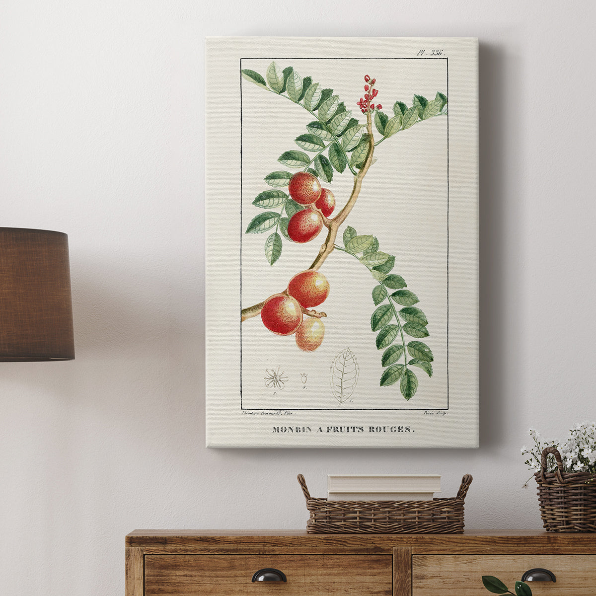 Turpin Tropical Botanicals III - Canvas Art Print