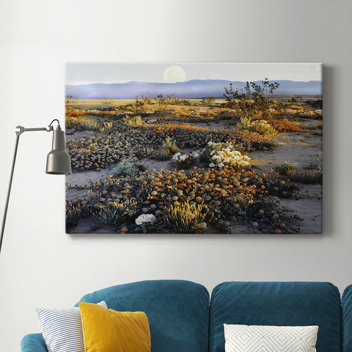 Anza Borrego Desert Premium Gallery Wrapped Canvas - Ready to Hang