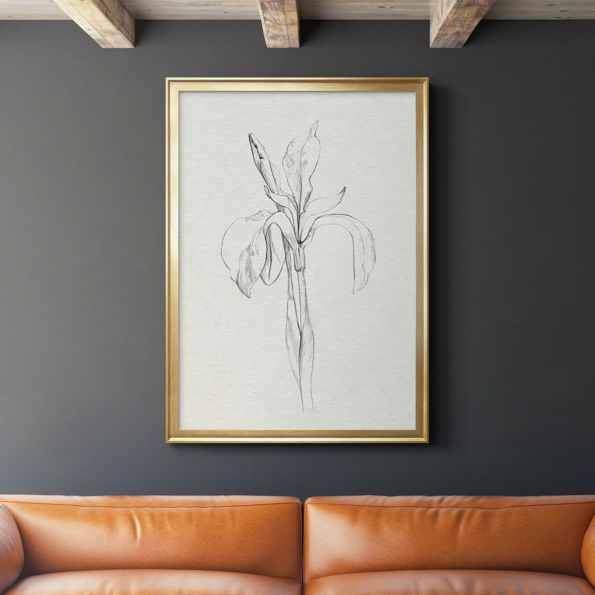 Neutral Iris Sketch II - Modern Framed Canvas Print