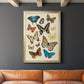 Collected Flutter II - Modern Framed Canvas Print