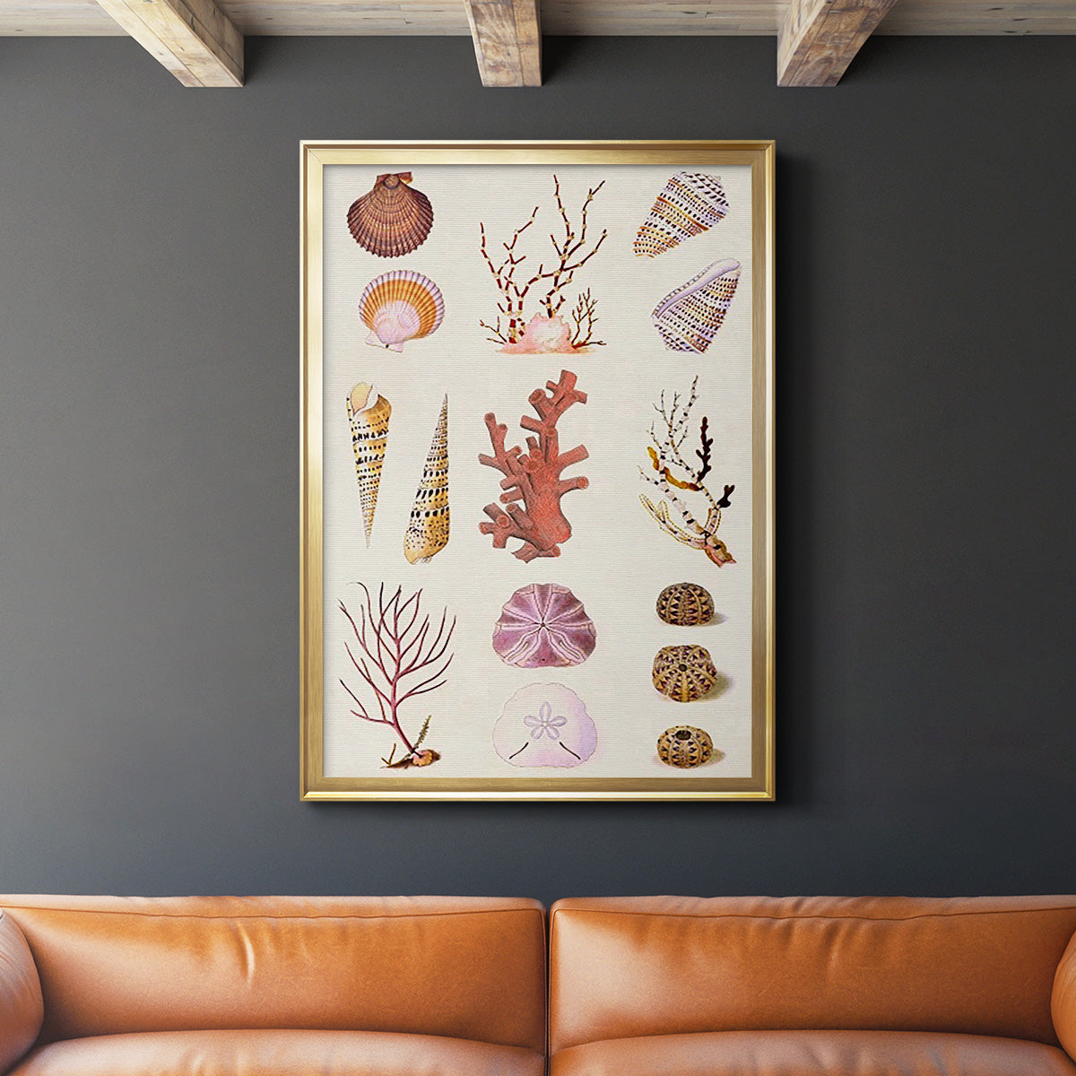 Coral & Shell Collage II -  Framed Canvas Print