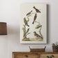 Antique Birds in Nature II - Canvas Art Print