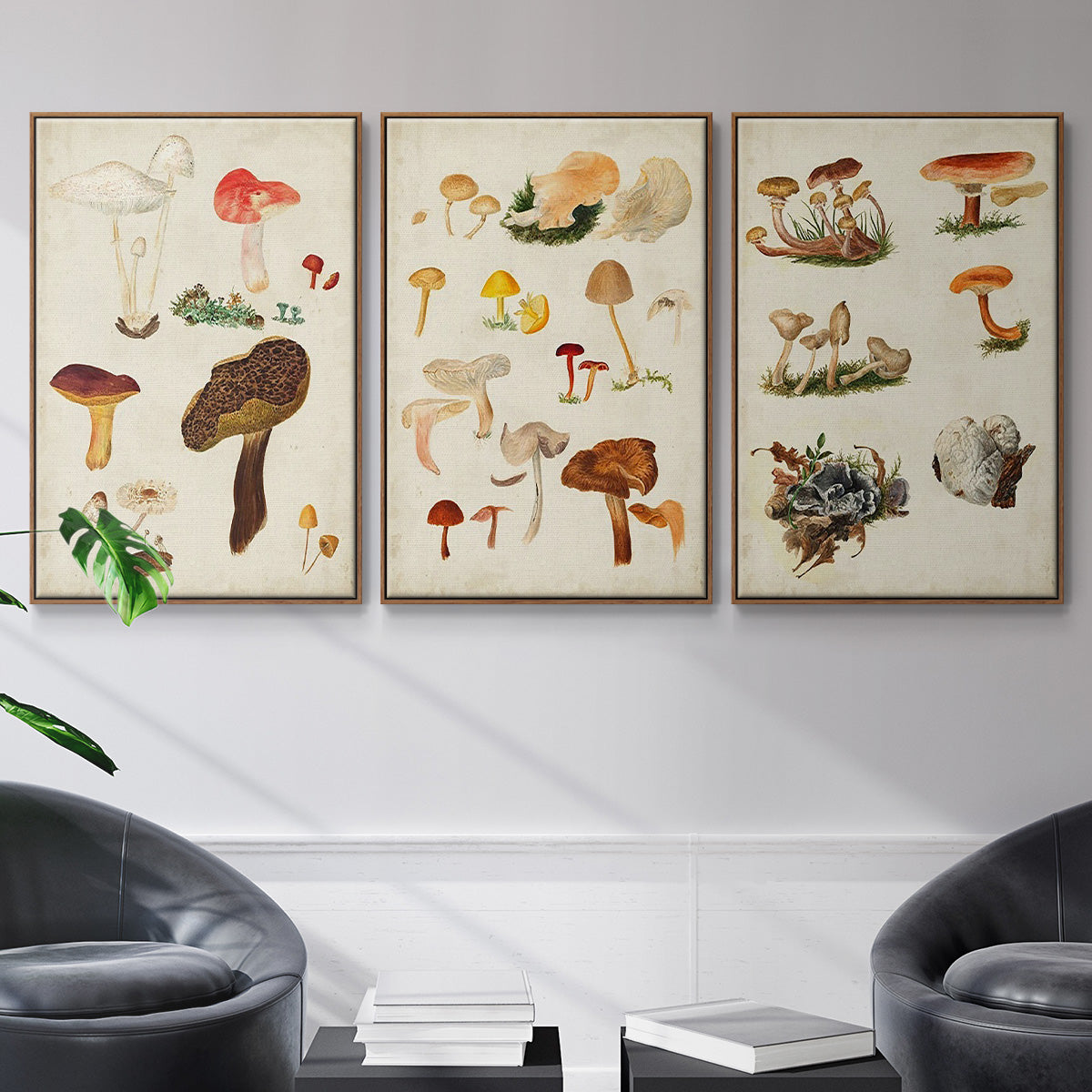 Mushroom Species X - Framed Premium Gallery Wrapped Canvas L Frame 3 Piece Set - Ready to Hang