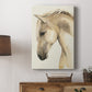 Golden Palomino II - Canvas Art Print