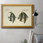 Bloch Antique Fish I Premium Framed Canvas- Ready to Hang