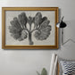 Blossfeldt Botanical VIII Premium Framed Canvas- Ready to Hang