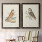 Hawk Owl - Premium Framed Canvas 2 Piece Set - Ready to Hang