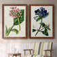 Set of two maple barnwood framed canvas prints depicting two antique botanical plate illustrations featuring colorful flowering plant specimens above a sideboard in a cozy sitting room.