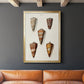 Cone Shell Collection II - Modern Framed Canvas Print