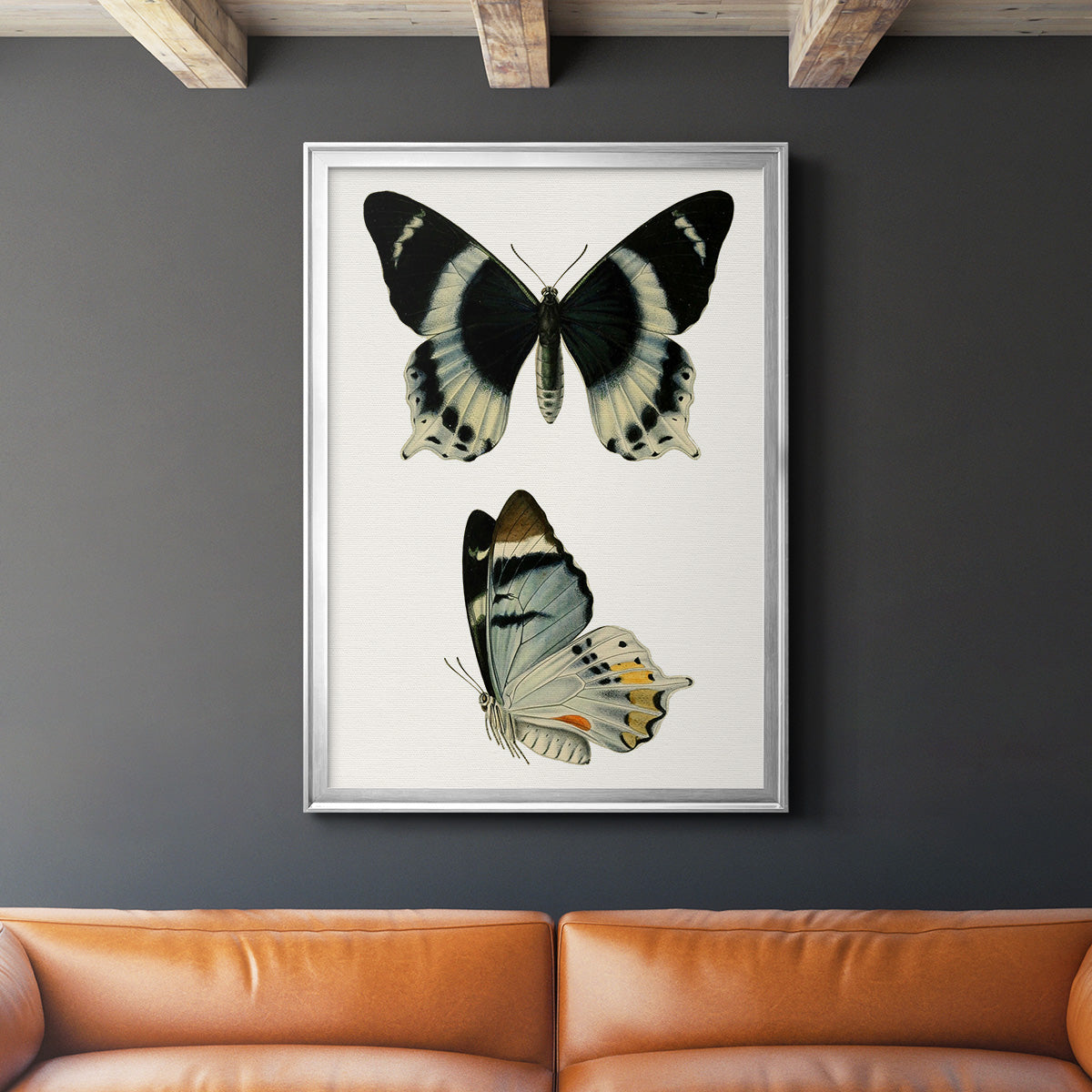 Antique Blue Butterflies I - Modern Framed Canvas Print