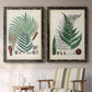Set of two black barnwood framed canvas prints depicting two natural-history fern plates featuring vintage fern specimens with botanical details above a sideboard in a cozy sitting room.