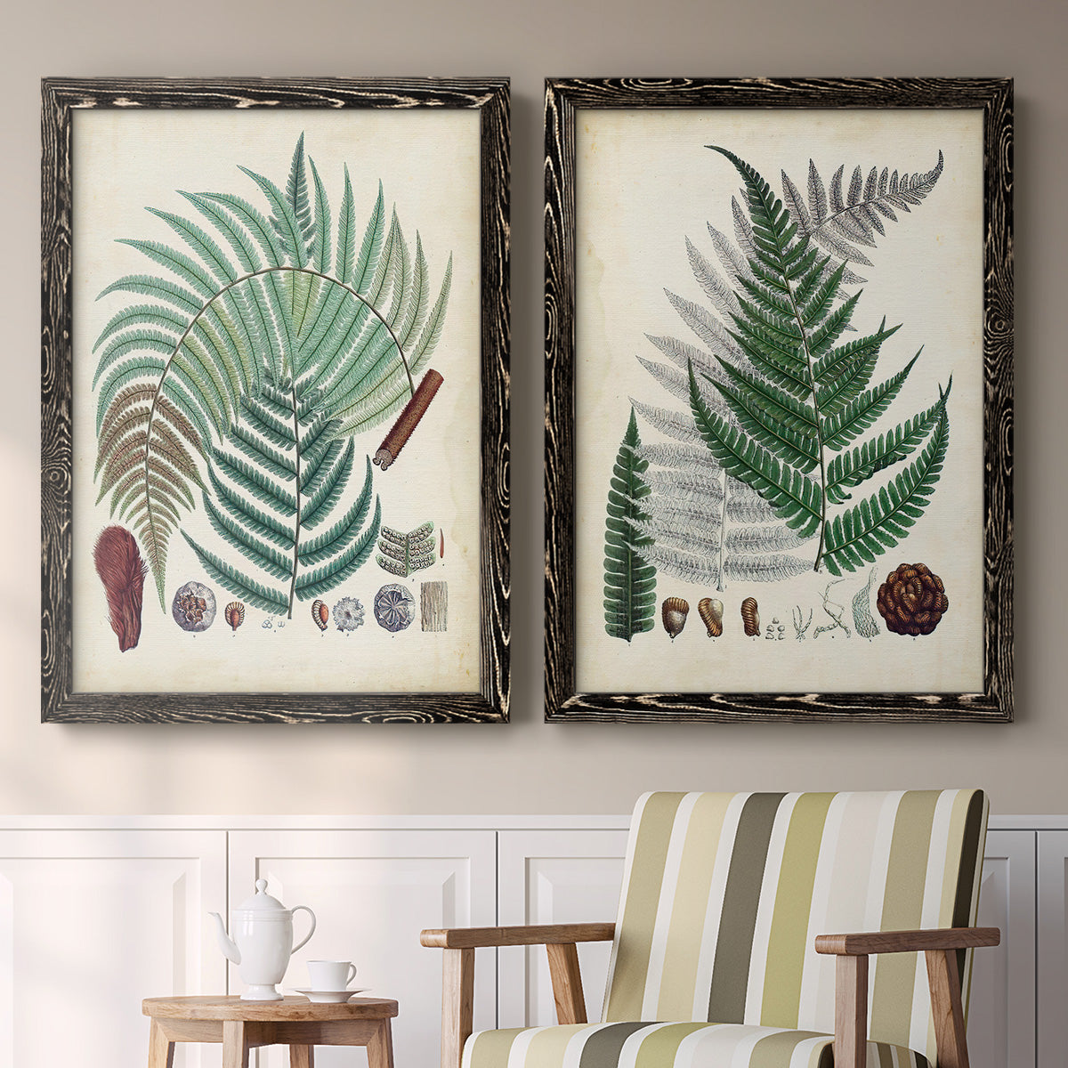 Set of two black barnwood framed canvas prints depicting two natural-history fern plates featuring vintage fern specimens with botanical details above a sideboard in a cozy sitting room.