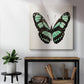 Mint Butterfly II - Canvas Art Print