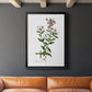 Rose Botanical III - Modern Framed Canvas Print