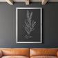 Scent Garden II - Modern Framed Canvas Print