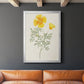 Flowers of the Seasons IX - Modern Framed Canvas Print