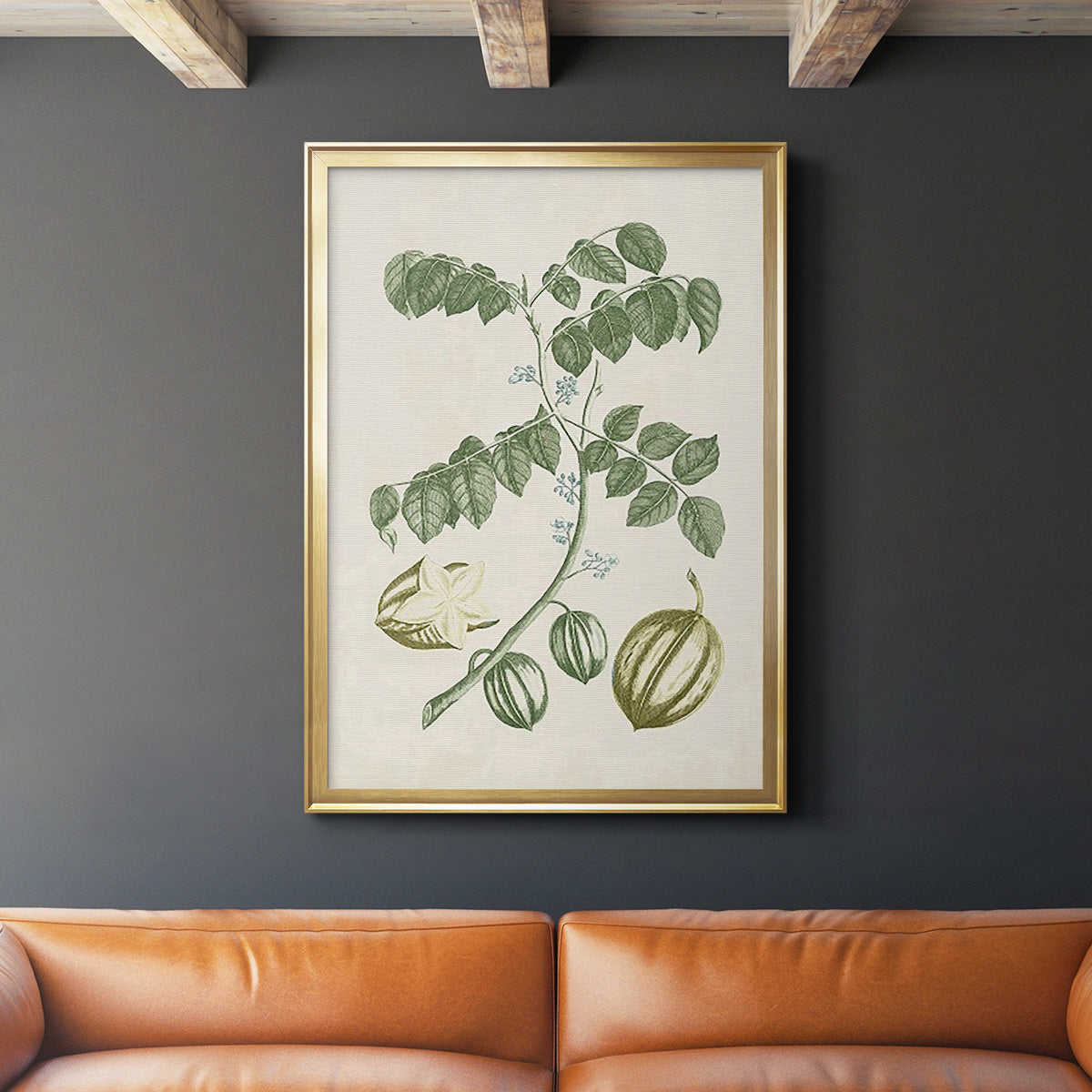 Buchoz Tropicals II - Modern Framed Canvas Print