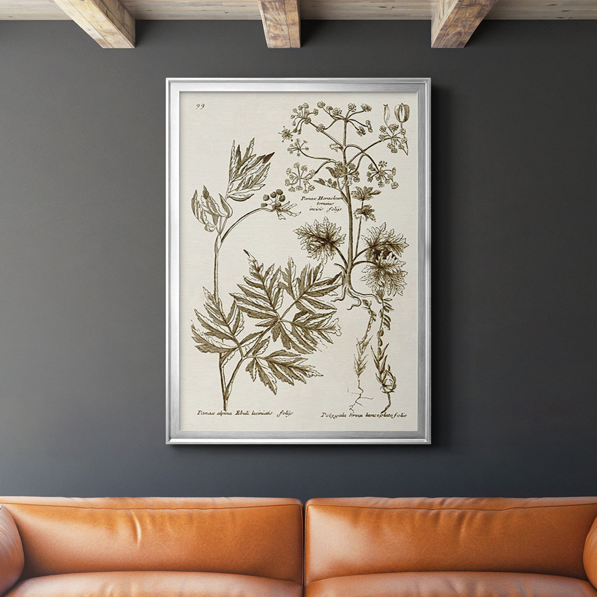 Sepia Botanical Journal III - Modern Framed Canvas Print