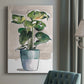 Potted Houseplant II - Canvas Art Print