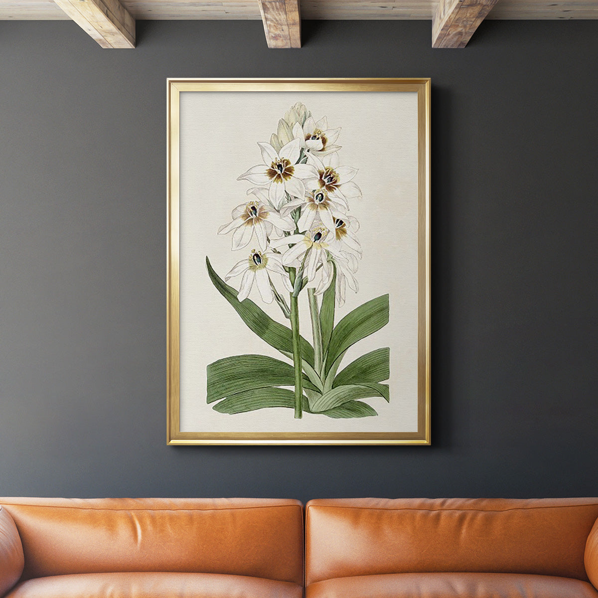 Flore Albo I - Modern Framed Canvas Print