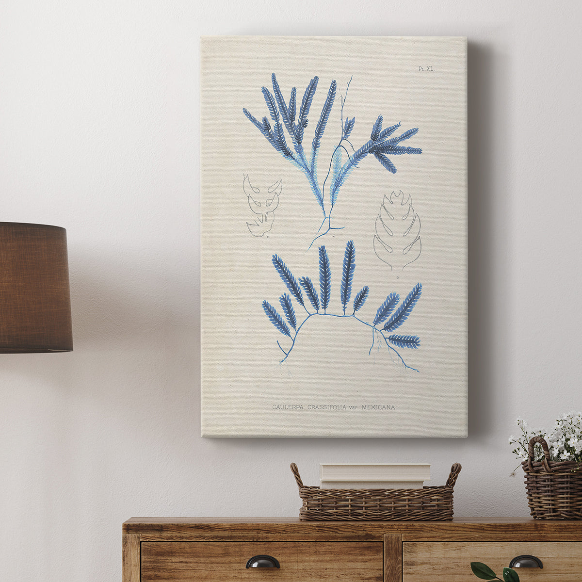 Blue Marine Algae I - Canvas Art Print