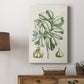 Buchoz Tropicals IX - Canvas Art Print