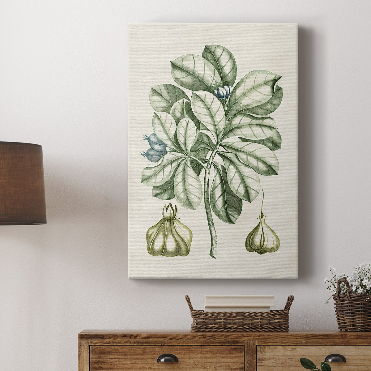 Buchoz Tropicals IX - Canvas Art Print