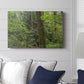 Calm of the Forest - Canvas Art Print
