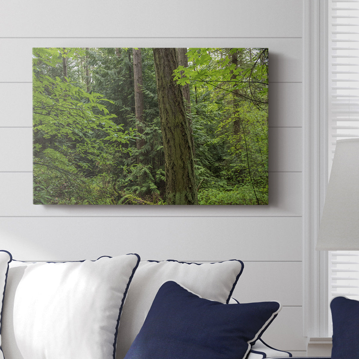 Calm of the Forest - Canvas Art Print