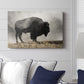 Geyser Basin - Canvas Art Print