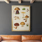 Mushroom Species II - Modern Framed Canvas Print