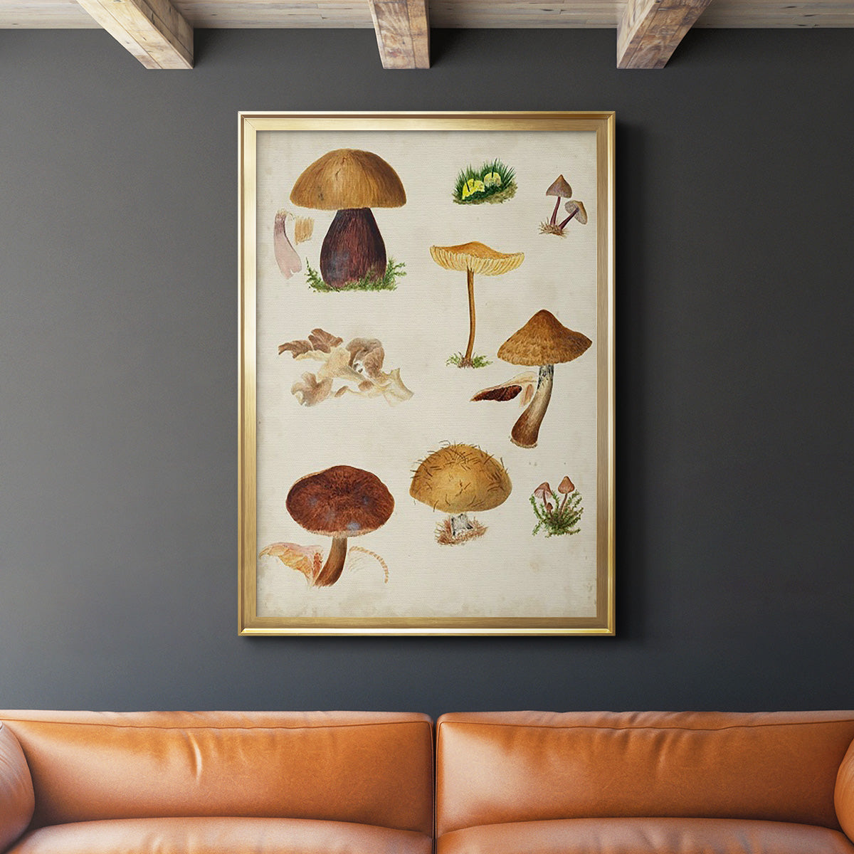 Mushroom Species II - Modern Framed Canvas Print