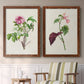 Pretty Pink Botanicals V - Premium Framed Canvas 2 Piece Set - Ready to Hang