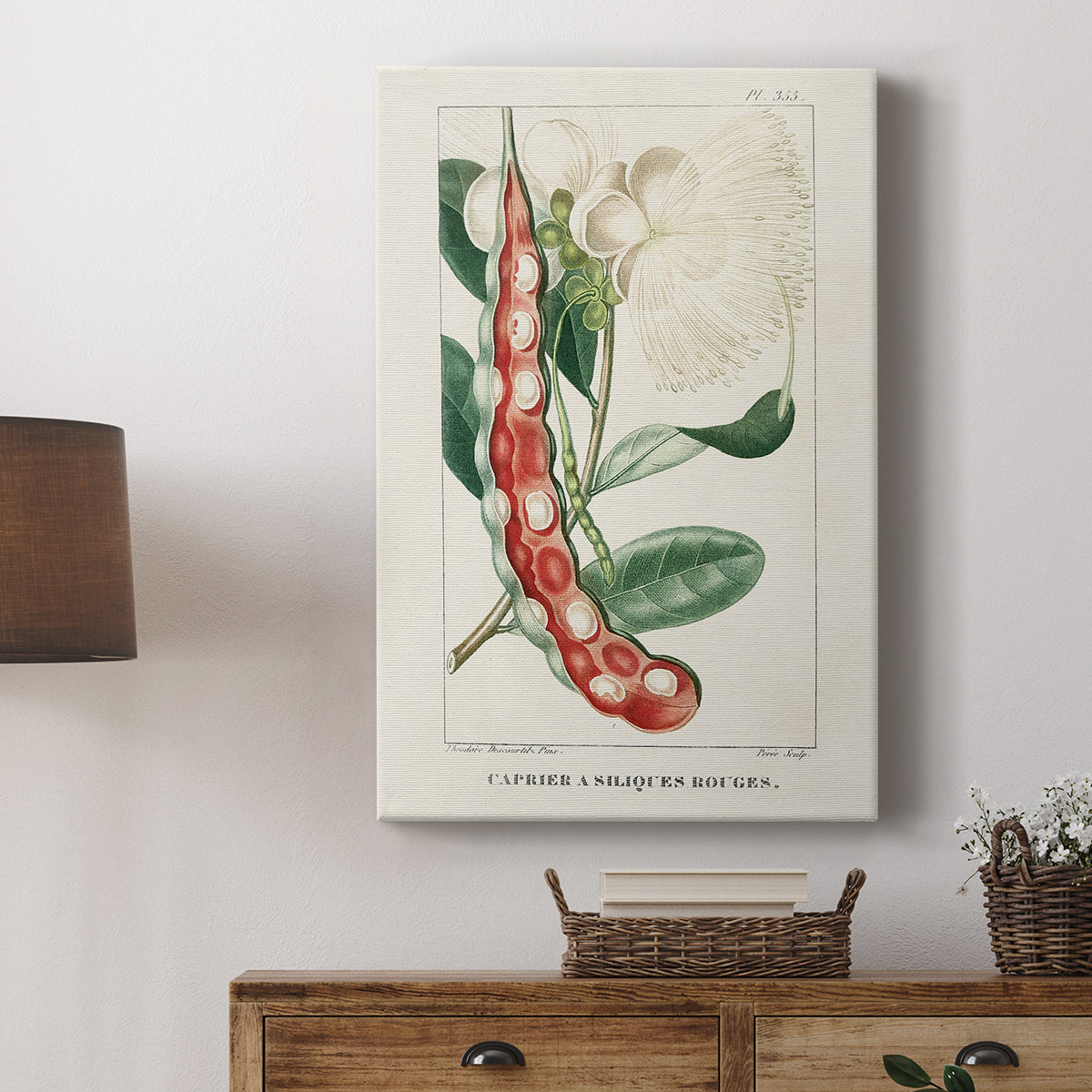 Turpin Tropical Botanicals VIII - Canvas Art Print
